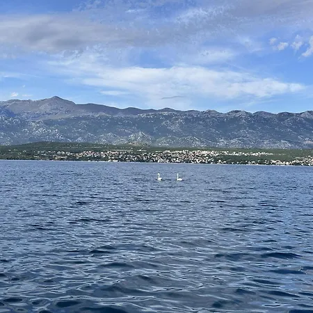 Seaside Apartman Vinjerac